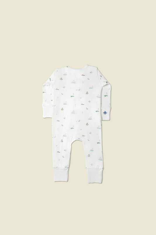 A Glide Across the Lake